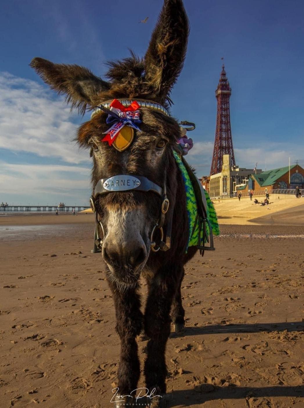 The Bailey Hotel Blackpool (Adults Only) Zewnętrze zdjęcie